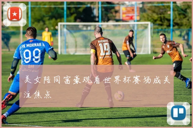 美女陪同富豪观看世界杯赛场成关注焦点
