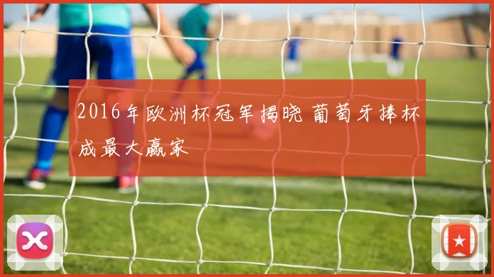2016年欧洲杯冠军揭晓 葡萄牙捧杯成最大赢家
