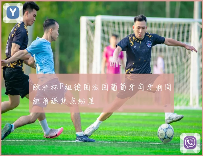 欧洲杯F组德国法国葡萄牙匈牙利同组角逐焦点纷呈