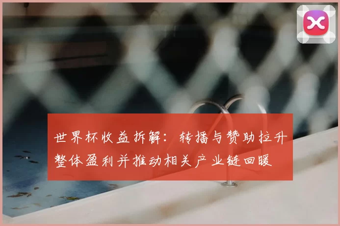 世界杯收益拆解：转播与赞助拉升整体盈利并推动相关产业链回暖
