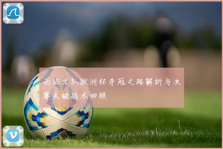 西班牙队欧洲杯夺冠之路解析与决赛关键战术回顾
