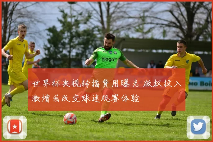 世界杯央视转播费用曝光 版权投入激增或改变球迷观赛体验