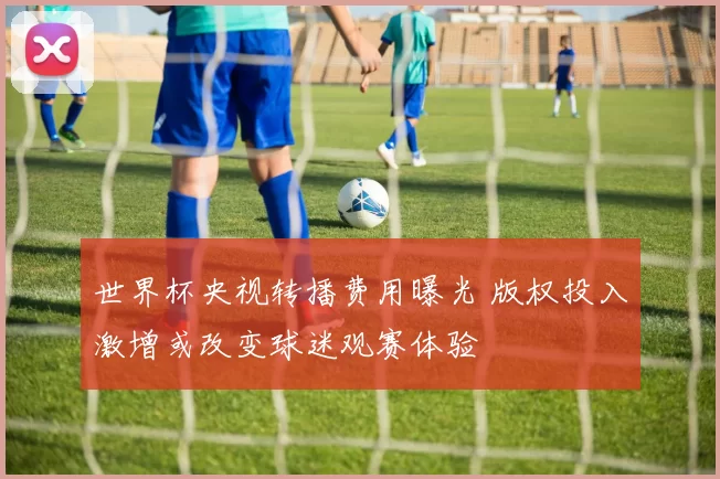 世界杯央视转播费用曝光 版权投入激增或改变球迷观赛体验