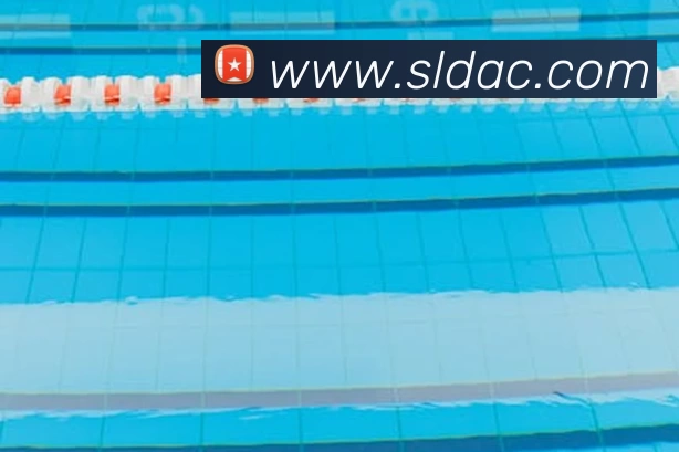 App Interface Preview